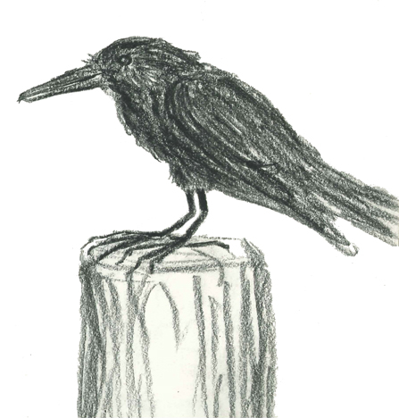 Original sketch of 'Crow' done with charcoal around 2006